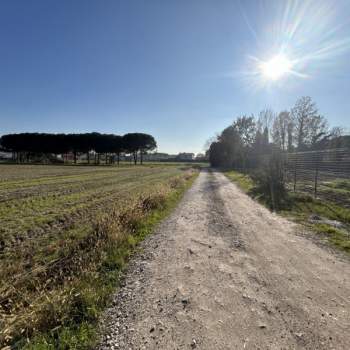 Terreno in vendita a Selvazzano Dentro (Padova)