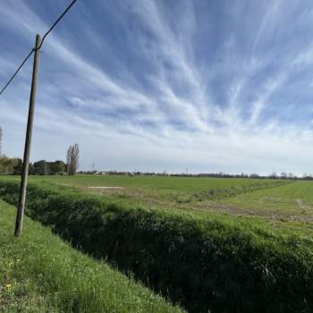 Terreno in vendita a Rubano (Padova)