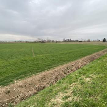 Terreno in vendita a Veggiano (Padova)