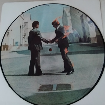 Rarissimi vinili picture disc "the dark side...  Wish you were.." dei Pink Floyd