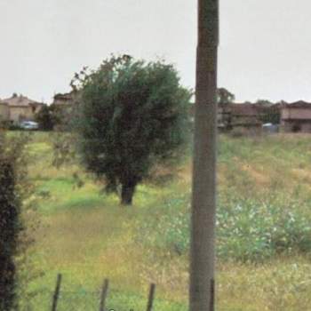 Terreno in vendita a Mogliano Veneto (Treviso)