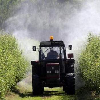 Terreno in vendita a Casale sul Sile (Treviso)