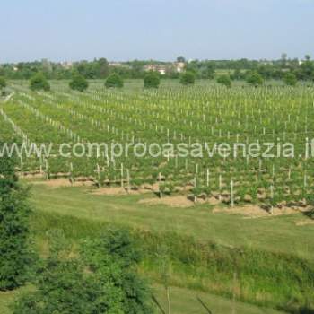 Terreno in vendita a Portogruaro (Venezia)