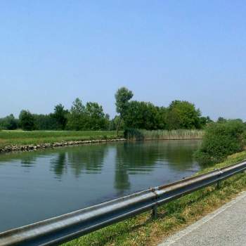 Terreno in vendita a Roncade (Treviso)