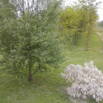 Terreno in vendita a Roncade (Treviso)