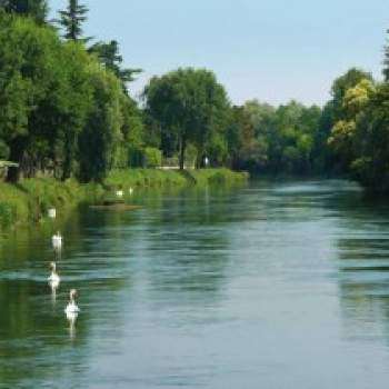 Terreno in vendita a Quarto d'Altino (Venezia)