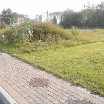 Terreno in vendita a Quarto d'Altino (Venezia)