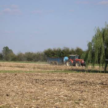 Terreno in vendita a Roncade (Treviso)