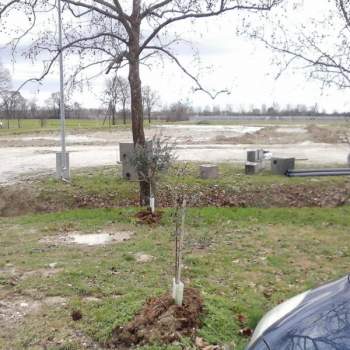 Terreno in vendita a Silea (Treviso)