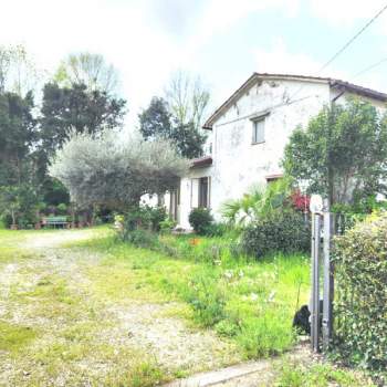 Casa singola in vendita a Vigonovo (Venezia)