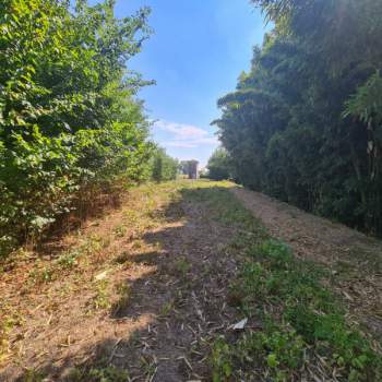 Terreno in vendita a Megliadino San Vitale (Padova)