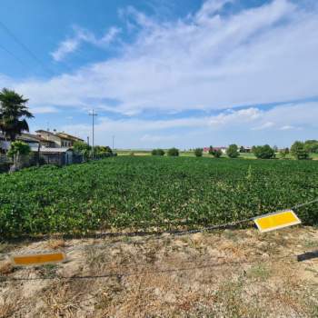 Terreno in vendita a Montagnana (Padova)