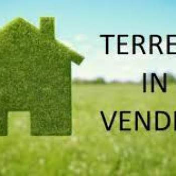 Attivita commerciale in vendita a Carpi (Modena)